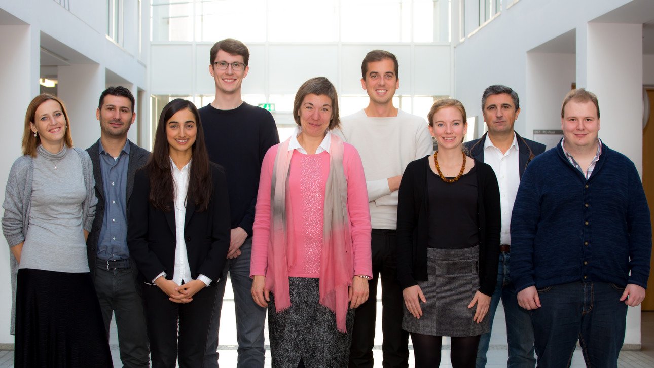 Research Team
